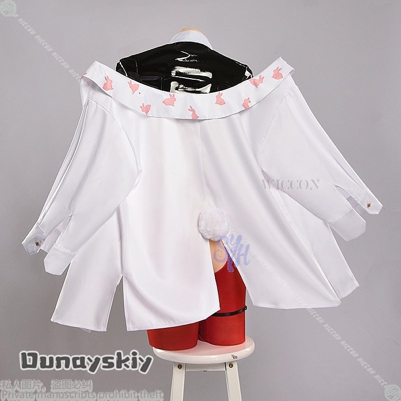 Rabbit Rouge Cosplay Anime Gam - огляд і ціна Party Games Bunny